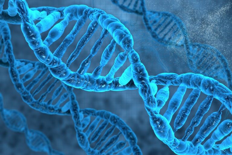 DNA graphic