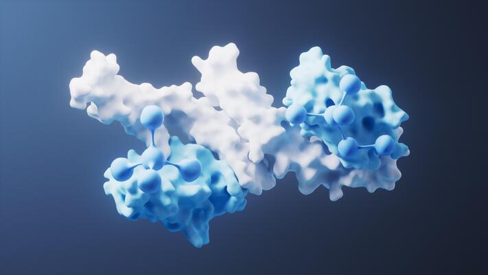 Protein rendering